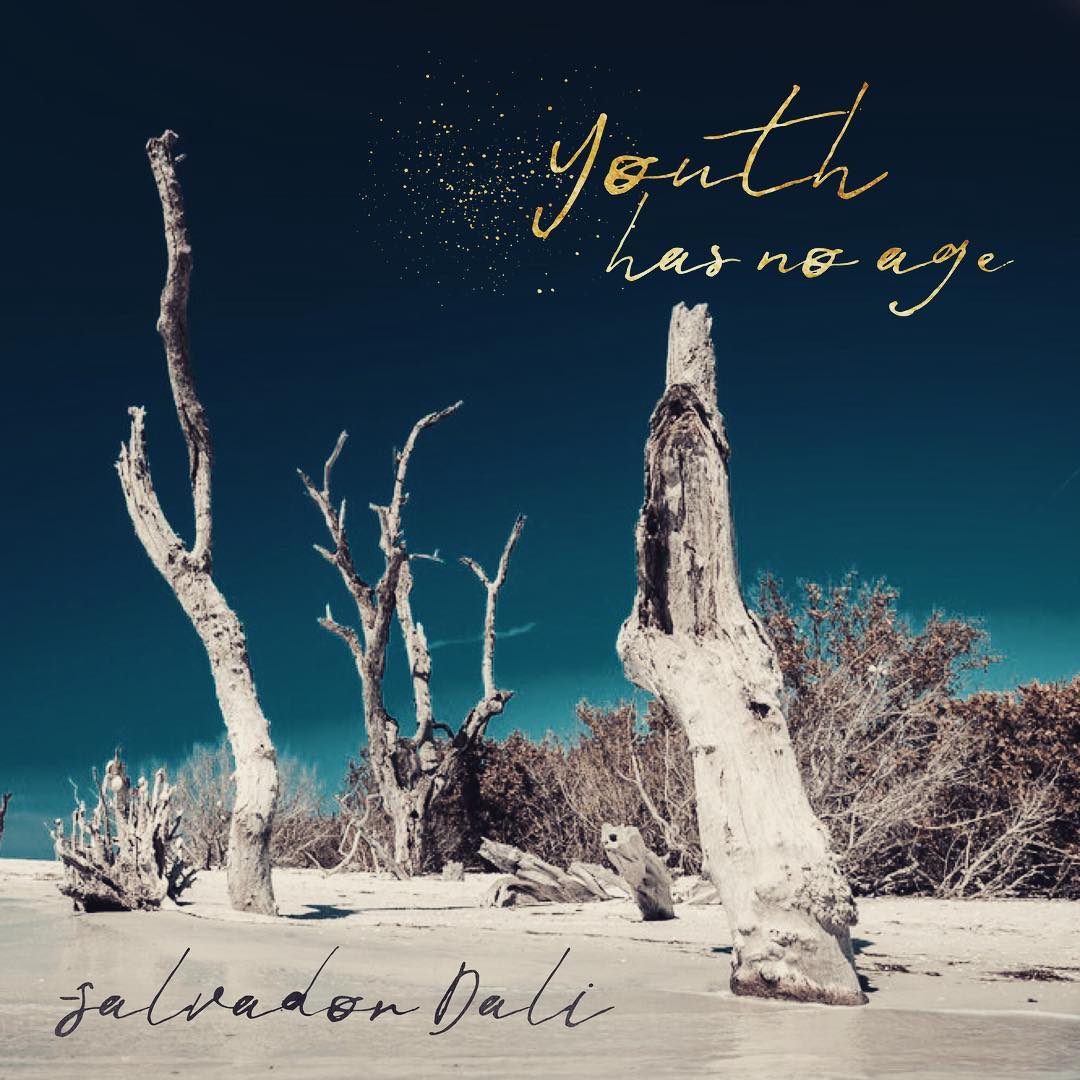 Word Swag App Generate Cool Text, Words & Quotes on Your Photos